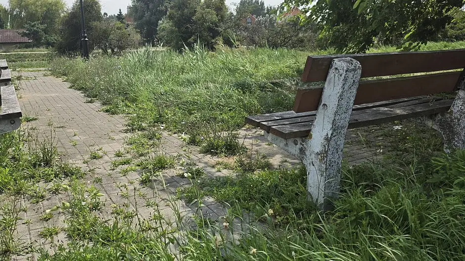 14-letni chłopiec zatrzymany po spożyciu alkoholu