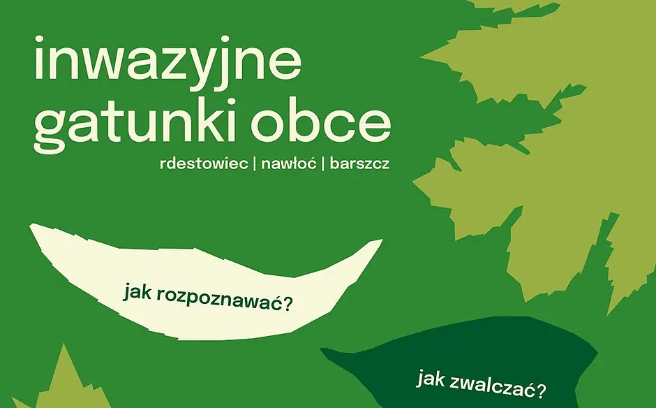 Edukacyjne spotkania o inwazyjnych roślinach rozpoczną się w Gdańsku