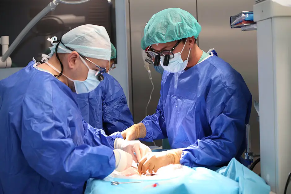 400 transplantacji wątroby w UCK na przestrzeni 8 lat