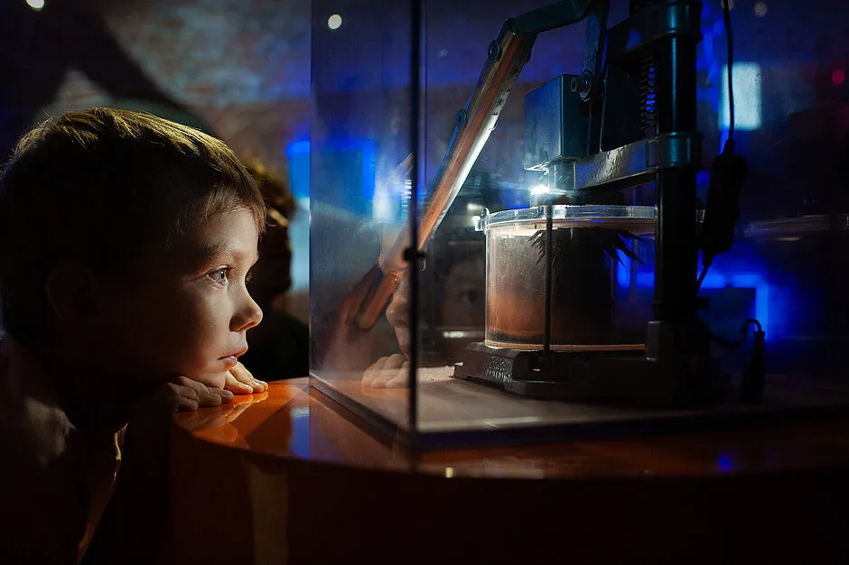 Atrakcje majówki w Hevelianum: escape room, pokaz armaty i spacer w Parku Oliwskim