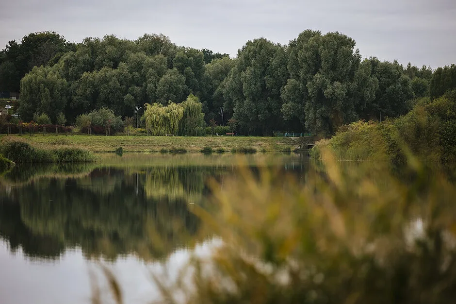 Postępy w tworzeniu Parku Południowego - trzy oferty na strefę wejściową