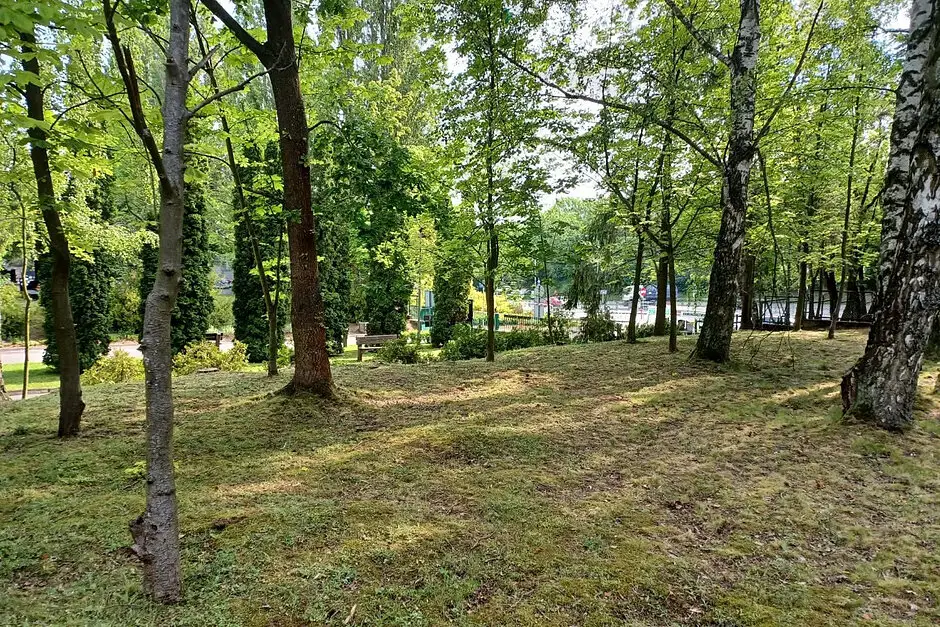 Las Pamięci na Cmentarzu Łostowickim w Gdańsku