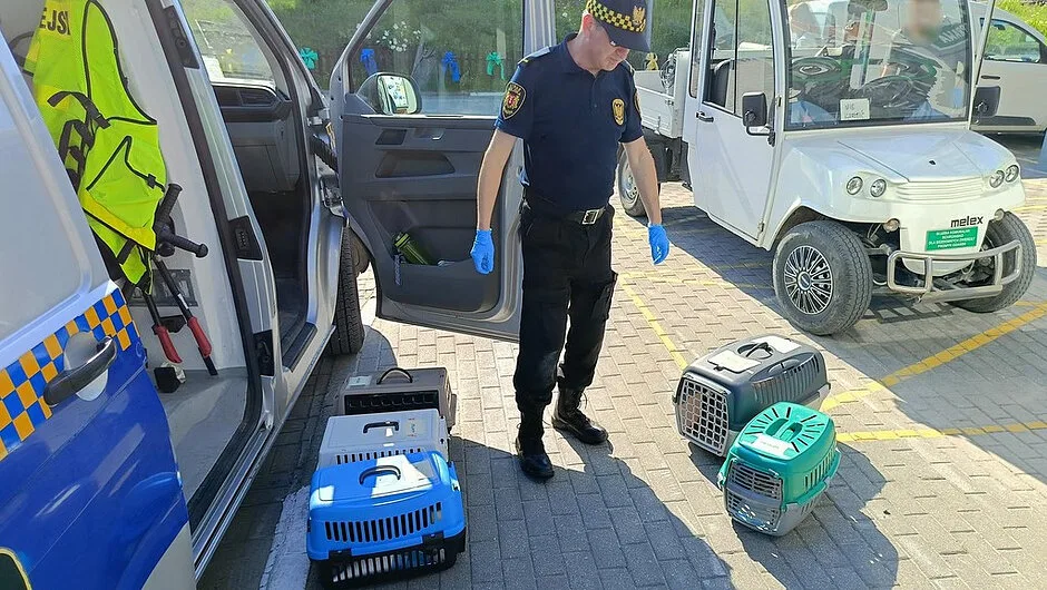Z troską o zwierzęta
