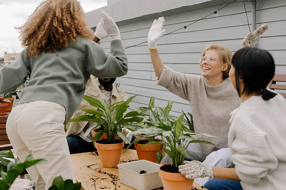 Oliwska z Klimatem: Nowy Klub Eko Inspiracji w Gdańsku