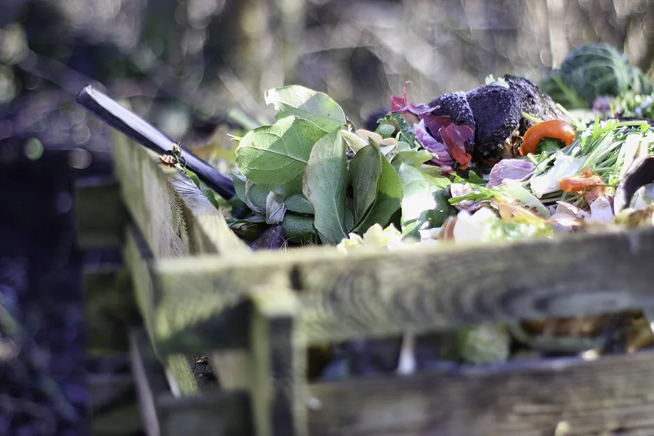 Gdańsk promuje kompostowanie bioodpadów dla zieleni miejskiej
