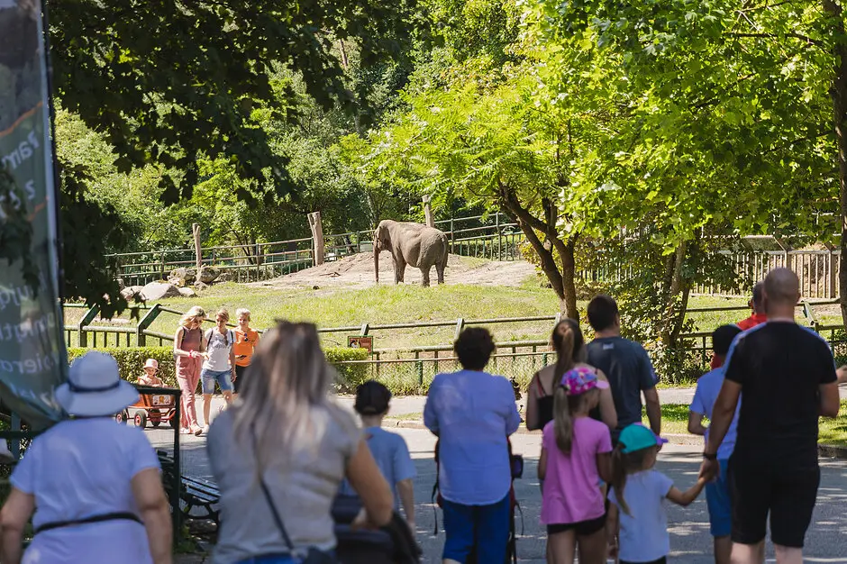 Edukacyjne spacery z przewodnikiem w gdańskim zoo