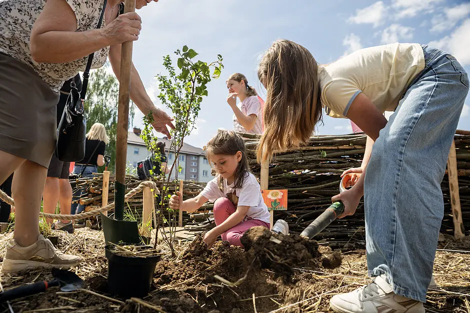 Rusza konkurs na stworzenie zielonych stref przy gdańskich przedszkolach dla NGO-sów