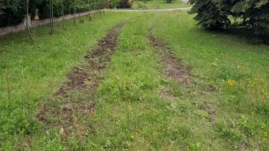 Interwencja w sprawie dewastacji zieleńca w Otominie