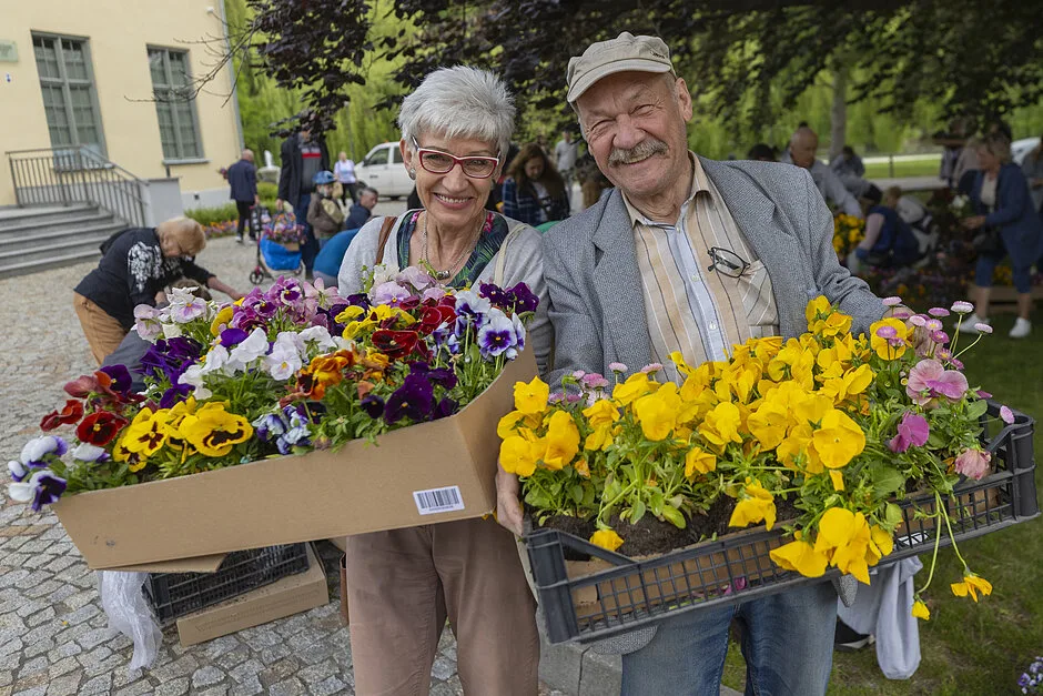 Gdańsk rozdaje mieszkańcom 20 tysięcy bratków