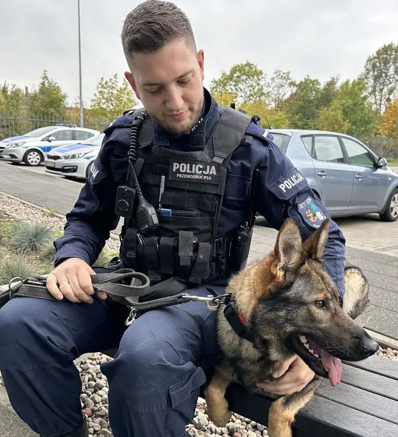 Agresywny 33-latek zniszczył samochód, zatrzymany przez policjanta po służbie