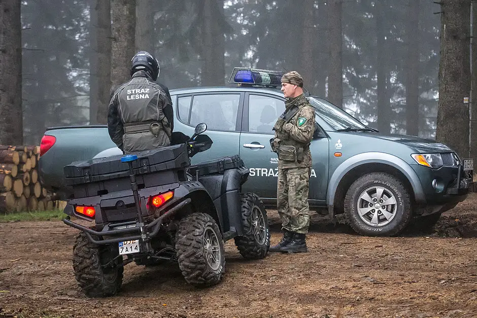 Straż Leśna przeprowadzi kontrole w lasach w ramach akcji „Jesień 26”